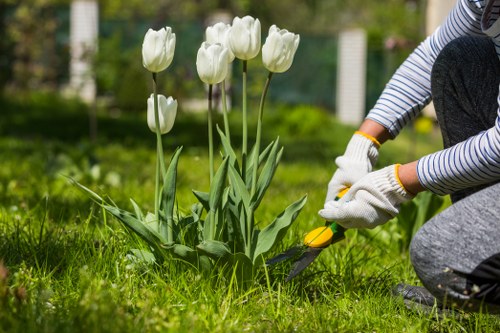Professional South Hornchurch garden maintenance including pruning and lawn care