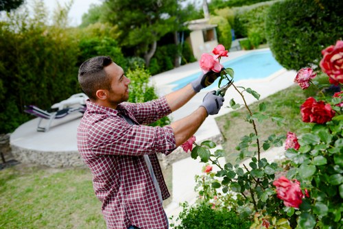 Gardener in South Hornchurch preparing a clear pricing quote for a garden tidy-up