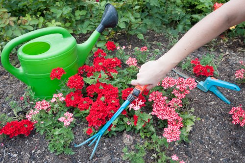 Professional hedge trimming in South Hornchurch for a neat garden boundary