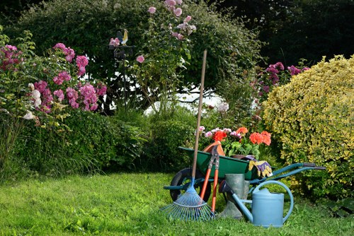 Local South Hornchurch gardeners providing lawn care and garden upkeep