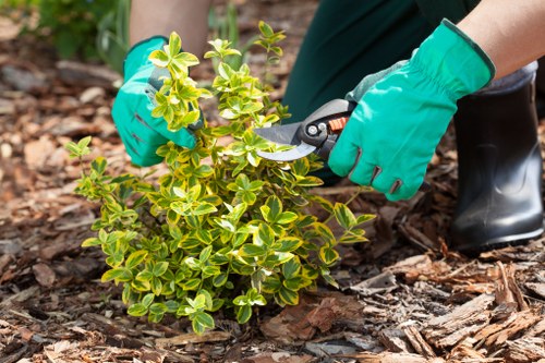 Garden layout planning and planting design in South Hornchurch