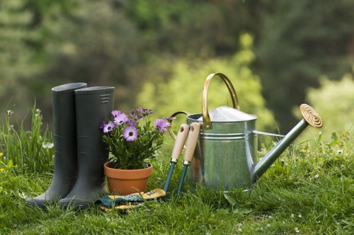 Trusted local garden maintenance for South Hornchurch homes