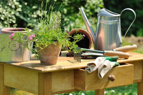 Annual review of the modern slavery statement and controls