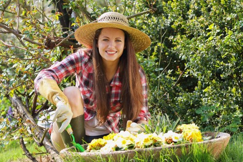 Garden lawn maintenance services in South Hornchurch for greener and healthier turf