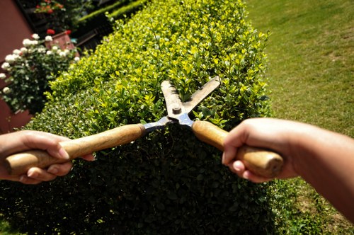 Garden clearance and maintenance services for a South Hornchurch property