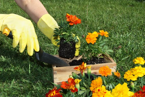 Overgrown garden being cleared in South Hornchurch