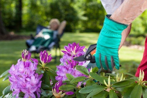 Seasonal planting and lighting in a South Hornchurch landscaped garden