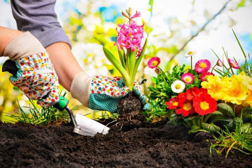 Well-kept hedge maintenance improving kerb appeal in South Hornchurch