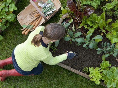 Well-kept garden borders in South Hornchurch