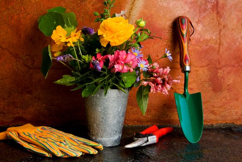 Professional review of a gardening complaint