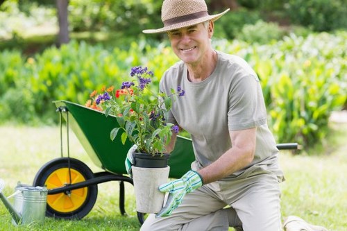 Seasonal hedge cutting service in South Hornchurch for healthy growth