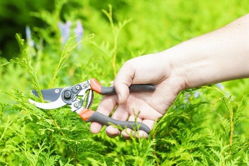 Final resolution step in a garden complaints policy
