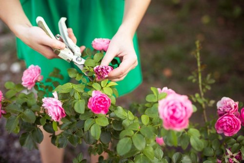 Professional garden maintenance in South Hornchurch