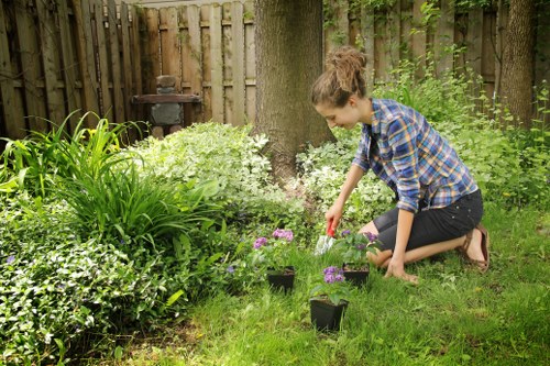 Close-up of precise hedge trimming work in a South Hornchurch garden