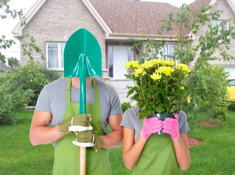 Hedge and lawn care by South Hornchurch gardeners