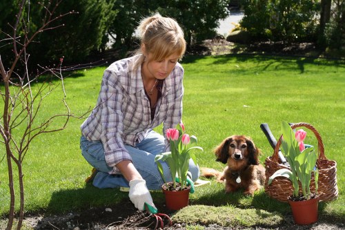 Seasonal lawn mowing service for a South Hornchurch home garden