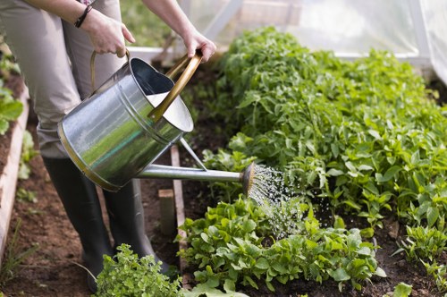 Professional garden clearance work in South Hornchurch