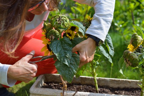 Reusable garden materials prepared for charity donation